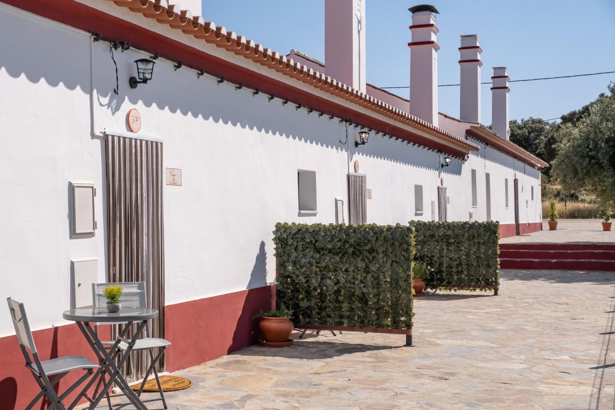 Casa Da Ritinha - Praia Azenhas D El Rey Montes Juntos Exteriör bild